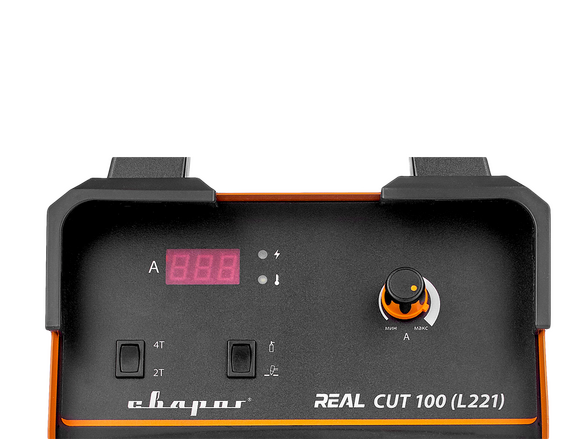 REAL CUT 100 (L221)